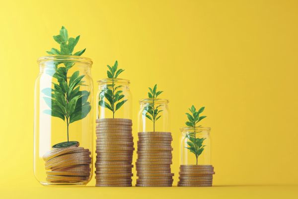 Foto: Gläser mit Münzen aus denen Pflanzen wachsen